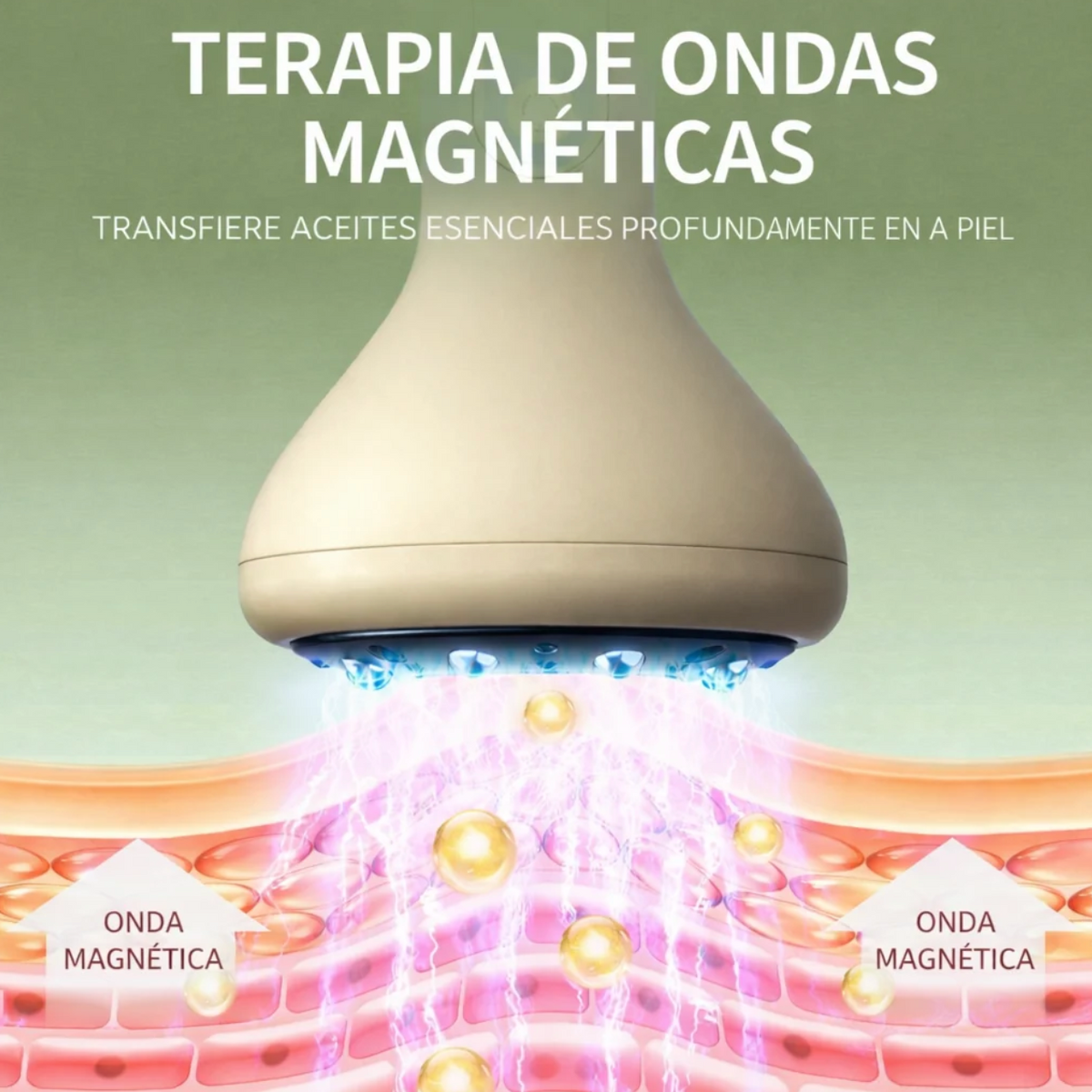 Masajeador Anticelulítico Reductor